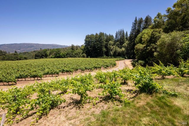 7596 Sonoma Mountain Rd, Glen Ellen, CA 95442