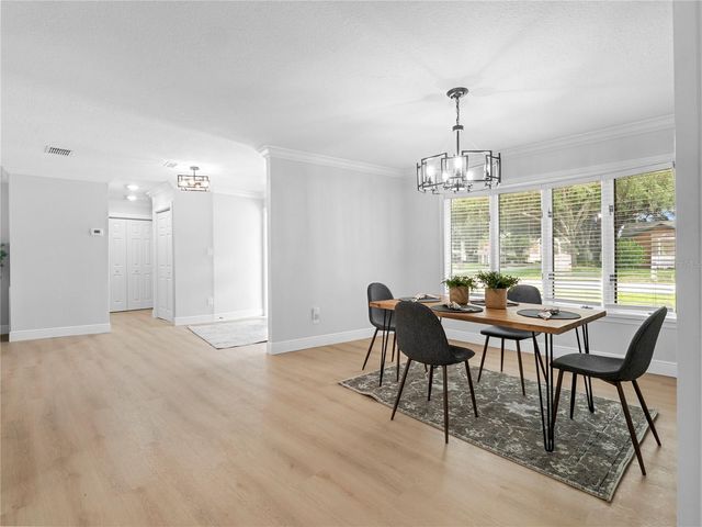 15901 DOVER CLIFFE DRIVE, Lutz, FL 33548