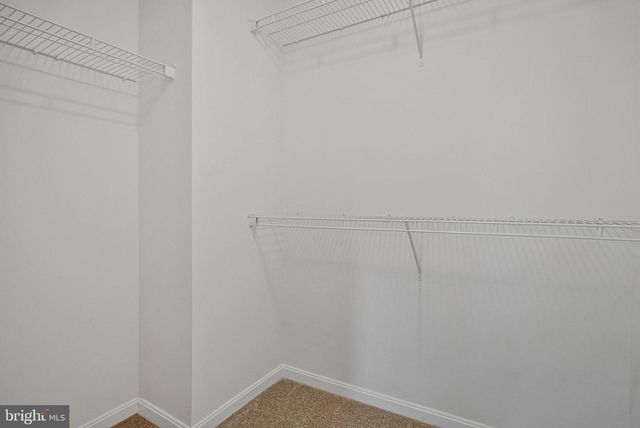 104 CATALPA DR, North East, MD 21901