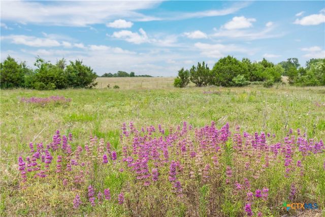 8160 Fm 2412, Gatesville, TX 76528