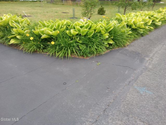 55 Alpine Drive, Colonie, NY 12110