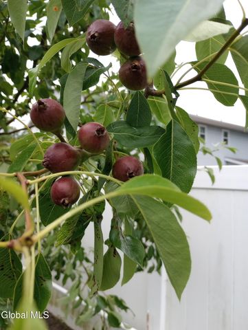 55 Alpine Drive, Colonie, NY 12110