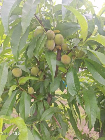 55 Alpine Drive, Colonie, NY 12110