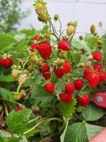 55 Alpine Drive, Colonie, NY 12110