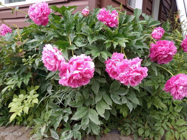 55 Alpine Drive, Colonie, NY 12110