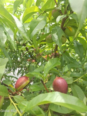 55 Alpine Drive, Colonie, NY 12110