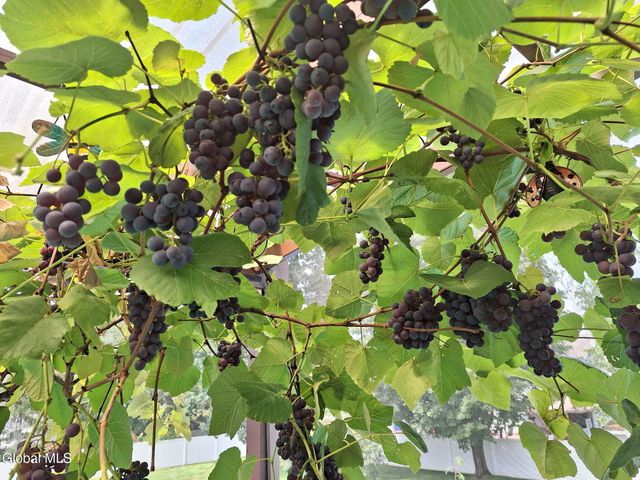 55 Alpine Drive, Colonie, NY 12110