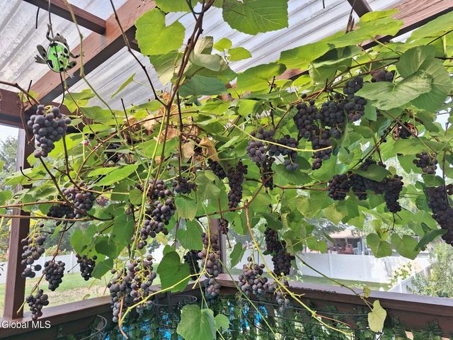 55 Alpine Drive, Colonie, NY 12110