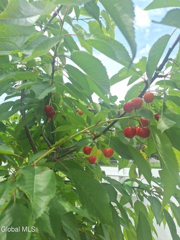 55 Alpine Drive, Colonie, NY 12110