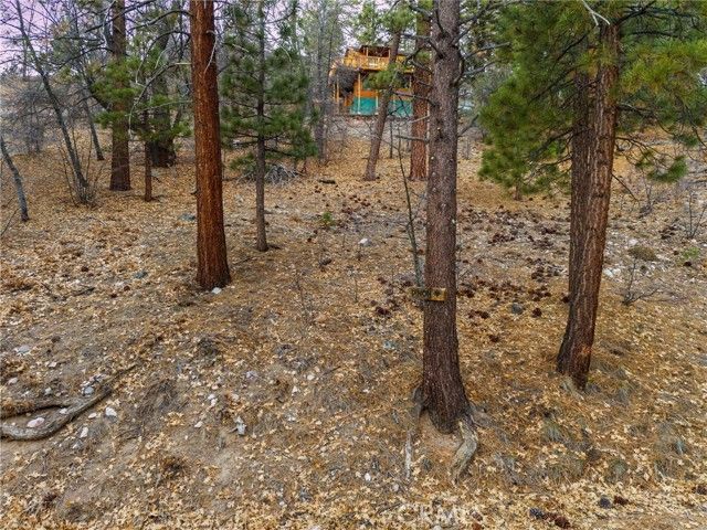 1237 Ridge Road, Fawnskin, CA 92333