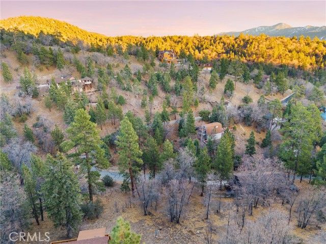 1237 Ridge Road, Fawnskin, CA 92333