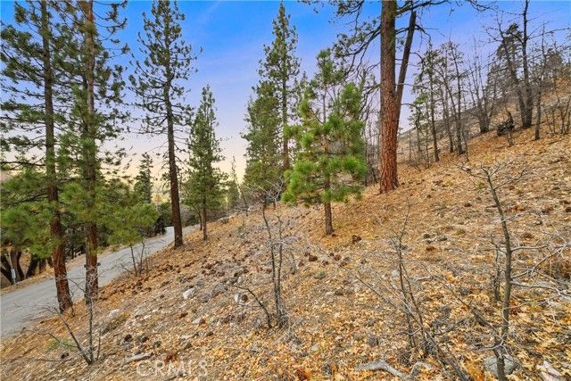 1237 Ridge Road, Fawnskin, CA 92333