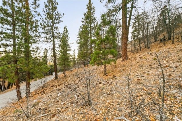 1237 Ridge Road, Fawnskin, CA 92333