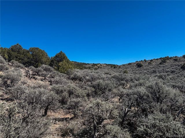 0 McGillicuddy Rd, Fort Garland, CO 81133