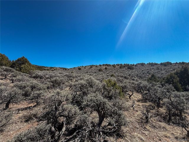 0 McGillicuddy Rd, Fort Garland, CO 81133