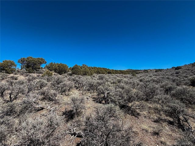 0 McGillicuddy Rd, Fort Garland, CO 81133