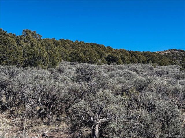 0 McGillicuddy Rd, Fort Garland, CO 81133