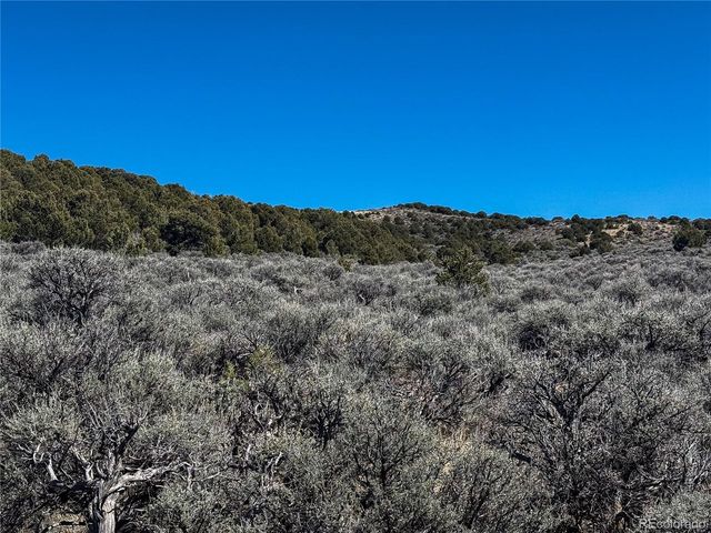 0 McGillicuddy Rd, Fort Garland, CO 81133