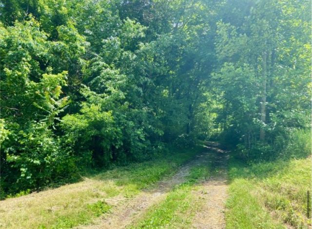 179 Puncheon Camp Ln, Bell Buckle, TN 37020
