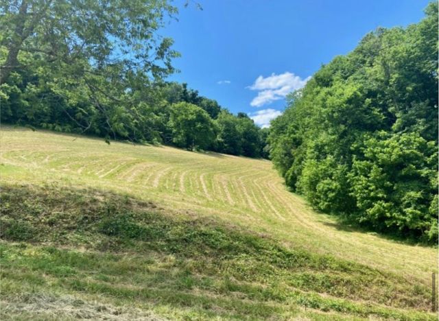 179 Puncheon Camp Ln, Bell Buckle, TN 37020