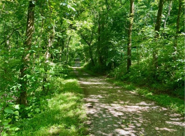 179 Puncheon Camp Ln, Bell Buckle, TN 37020