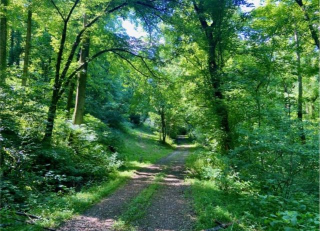 179 Puncheon Camp Ln, Bell Buckle, TN 37020