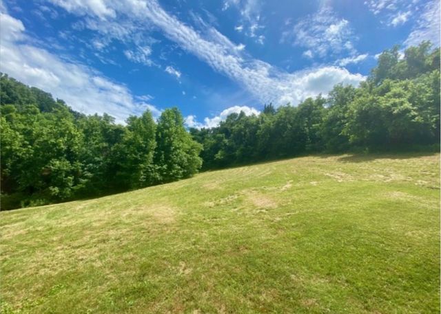 179 Puncheon Camp Ln, Bell Buckle, TN 37020