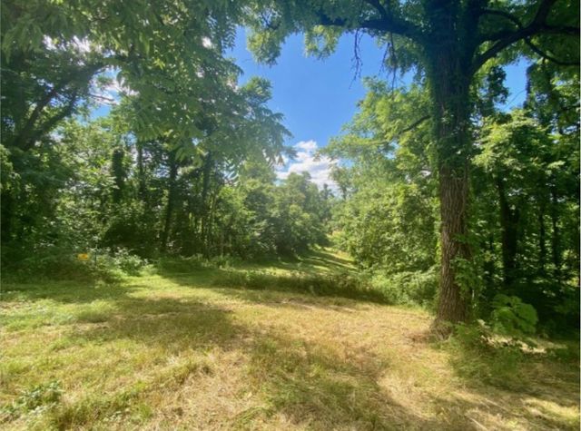 179 Puncheon Camp Ln, Bell Buckle, TN 37020