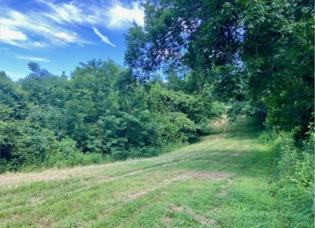 179 Puncheon Camp Ln, Bell Buckle, TN 37020