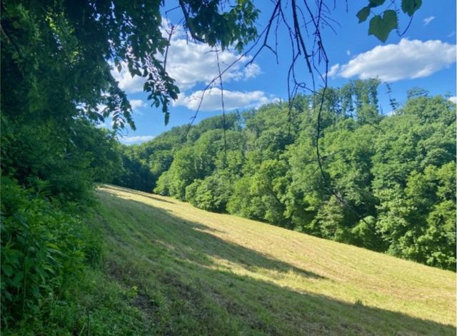 179 Puncheon Camp Ln, Bell Buckle, TN 37020