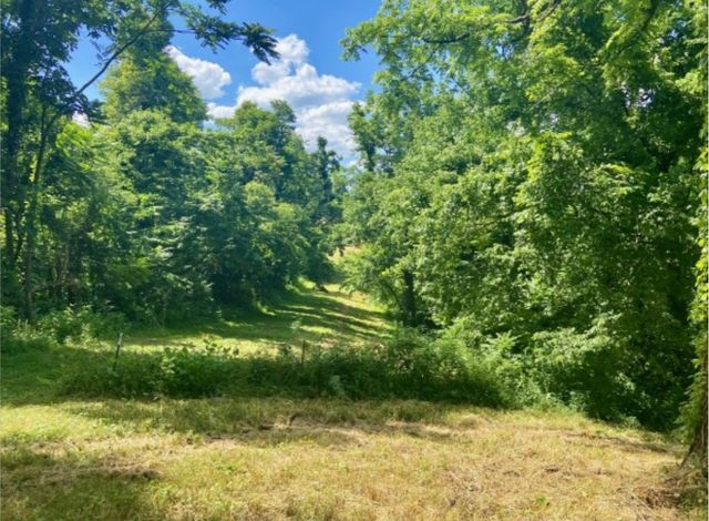 179 Puncheon Camp Ln, Bell Buckle, TN 37020