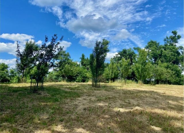 179 Puncheon Camp Ln, Bell Buckle, TN 37020