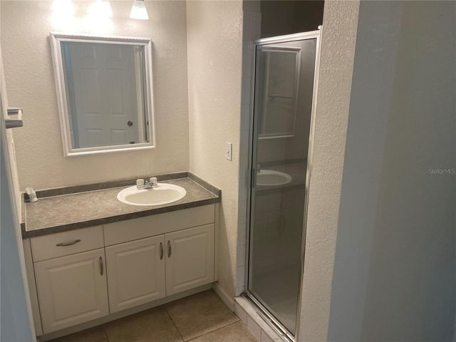 6233 ASHBURY PALMS DRIVE, Tampa, FL 33647