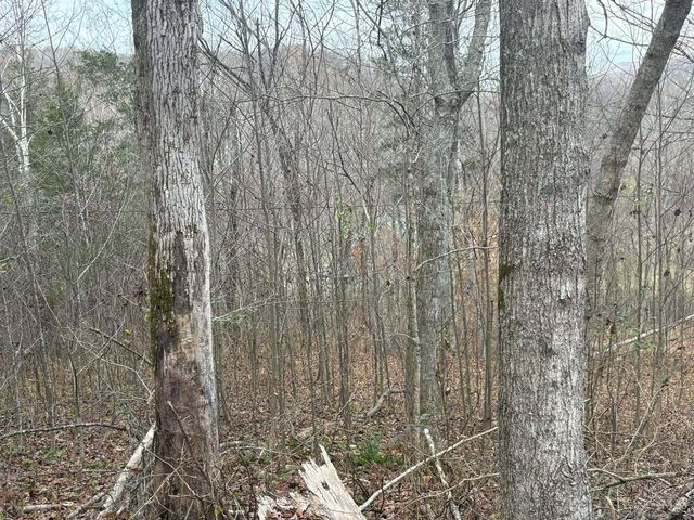 4702 Brush Creek Rd, Manchester, OH 45144