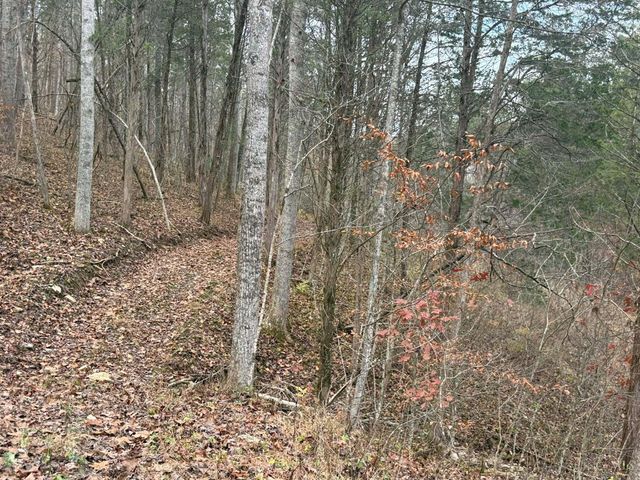 4702 Brush Creek Rd, Manchester, OH 45144