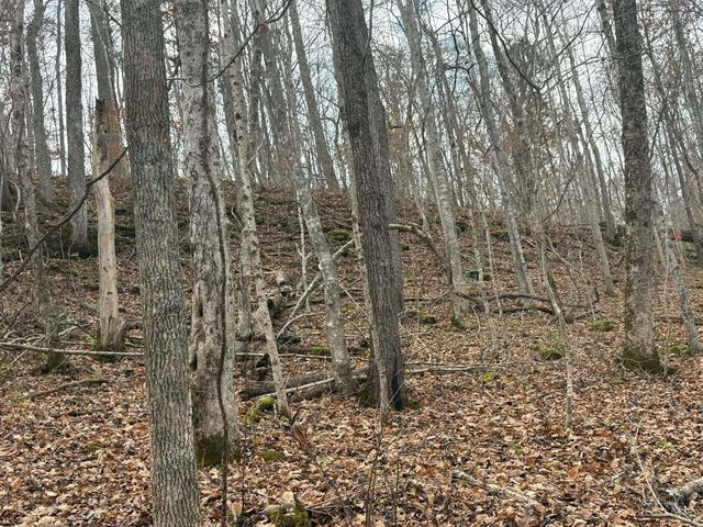 4702 Brush Creek Rd, Manchester, OH 45144