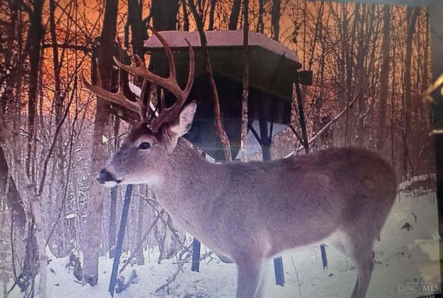 4702 Brush Creek Rd, Manchester, OH 45144