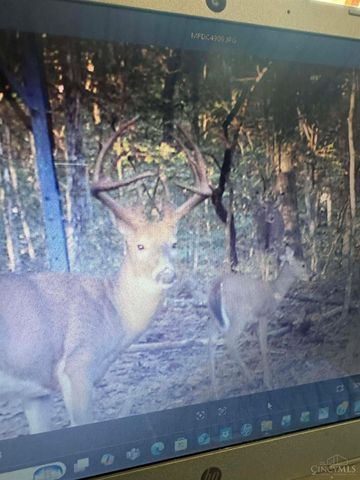 4702 Brush Creek Rd, Manchester, OH 45144