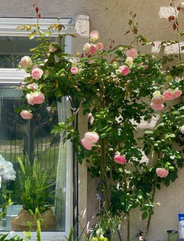 5135 Caminito Exquisito, San Diego, CA 92130