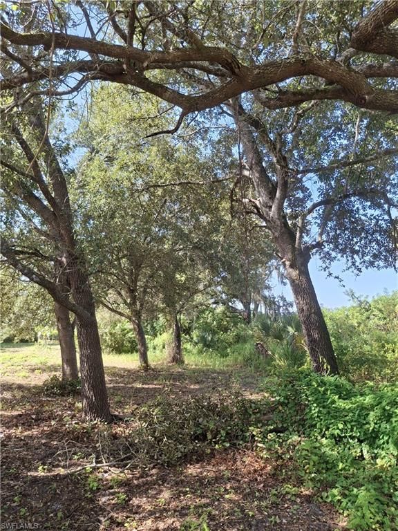 7979 22nd PL, LABELLE, FL 33935 — photo 2