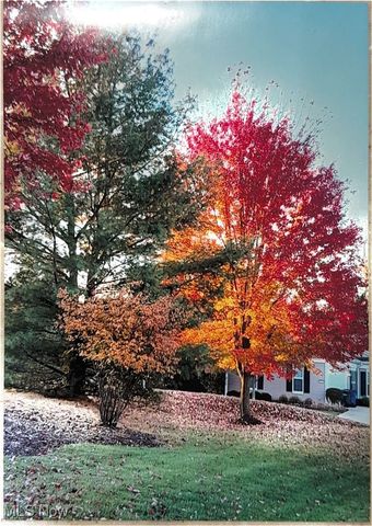 455 Edge Park Lane, Brunswick, OH 44212