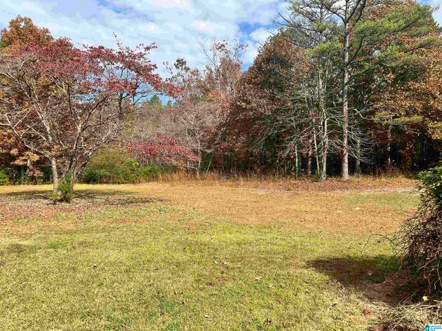 2085 ROY WEBB CUTOFF ROAD, Piedmont, AL 36272