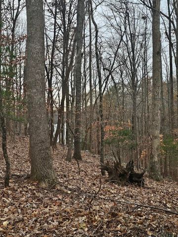 Lot 143 Oak Crest DR, Moneta, VA 24121