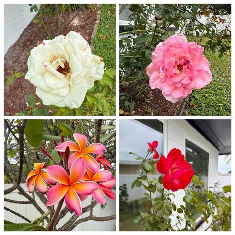 9210 108TH STREET, Seminole, FL 33772