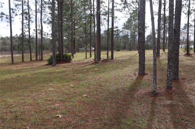 2090 SE 133RD COURT, Morriston, FL 32668