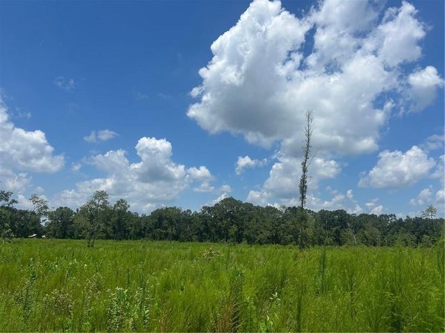 0 Lundy Road, Theodore, AL 36582