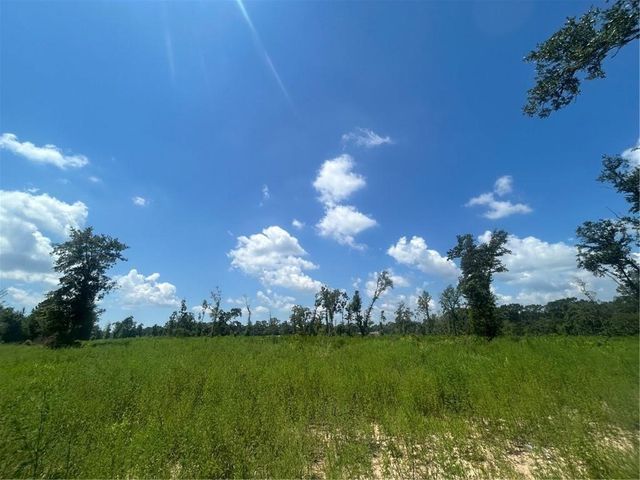 0 Lundy Road, Theodore, AL 36582