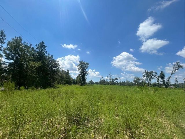0 Lundy Road, Theodore, AL 36582