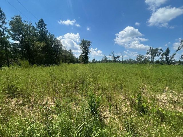 0 Lundy Road, Theodore, AL 36582