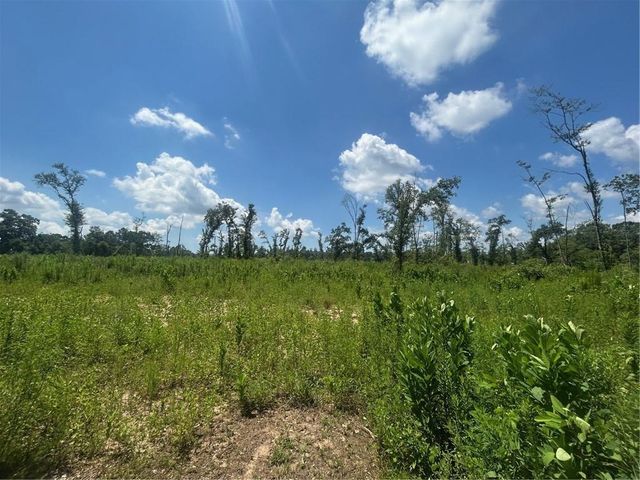 0 Lundy Road, Theodore, AL 36582